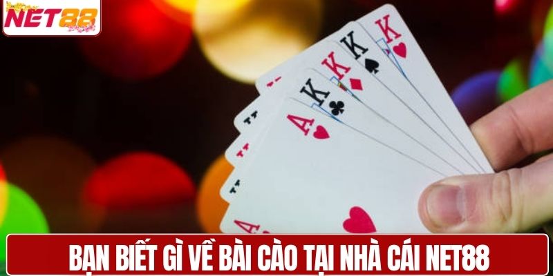 Bạn biết gì về bài cào tại nhà cái NET88