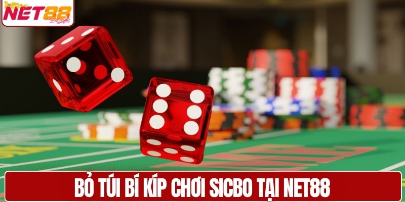 Bỏ túi bí kíp chơi Sicbo tại NET88 