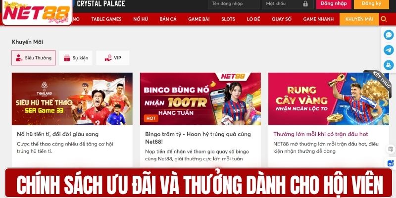 Chính sách ưu đãi và thưởng dành cho hội viên 