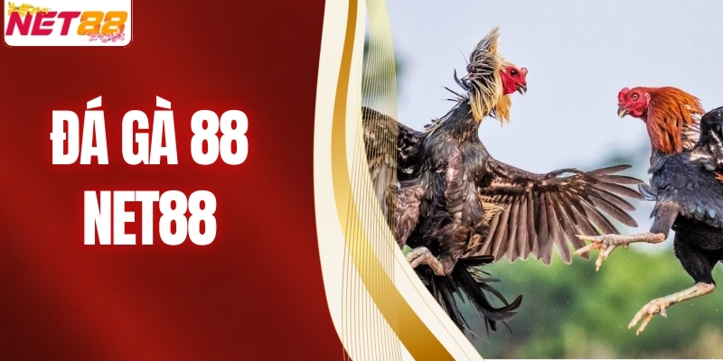 Tham Gia Đá Gà 88 Tại NET88 - Cược Nhanh, Thắng Lớn Tại Nhà 