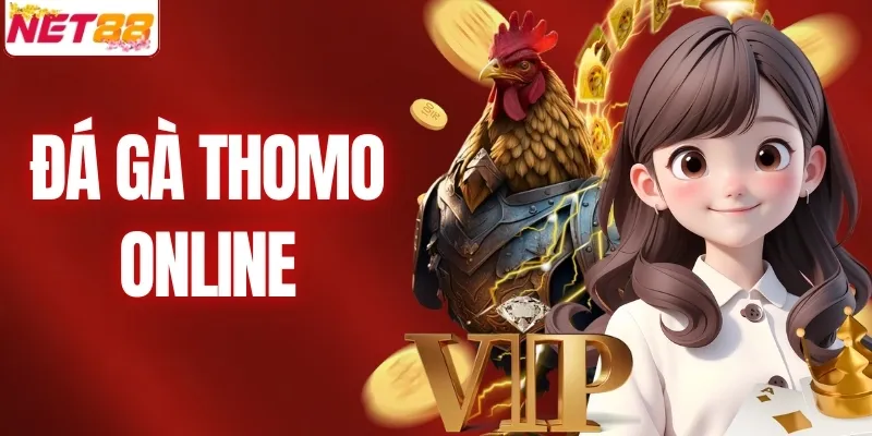 Đá Gà Thomo Online - Tìm Hiểu Dịch Vụ Giải Trí Hot Nhất NET88