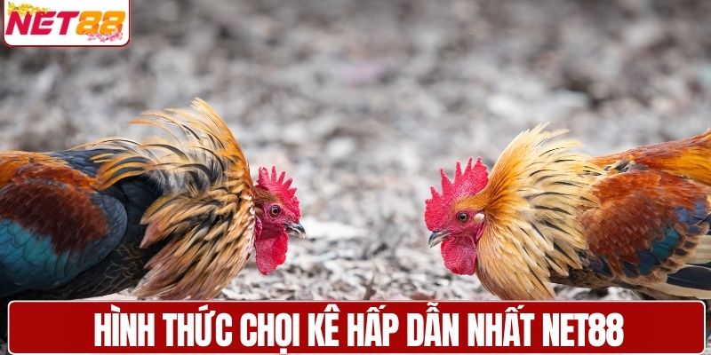 Hình thức chọi kê hấp dẫn nhất NET88