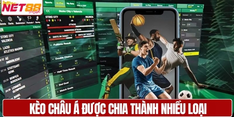 Kèo châu Á được chia thành nhiều loại