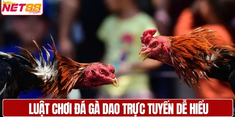 Luật chơi đá gà dao trực tuyến, hiểu nhanh để bắt kèo chuẩn