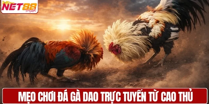 Mẹo hay chơi đá gà dao trực tuyến từ cao thủ NET88