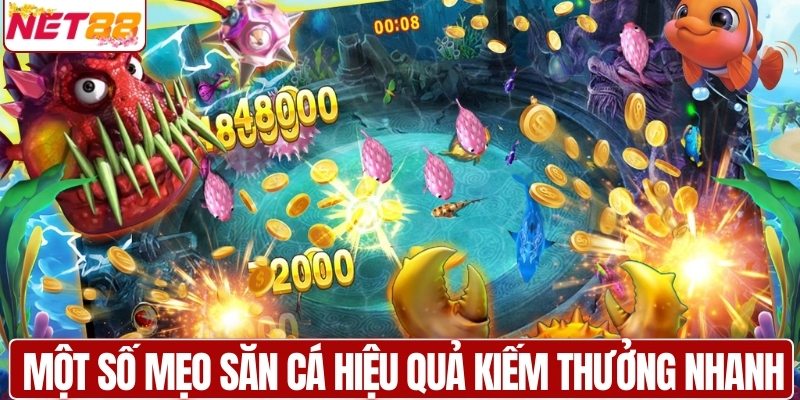 Một số mẹo săn cá hiệu quả kiếm thưởng nhanh