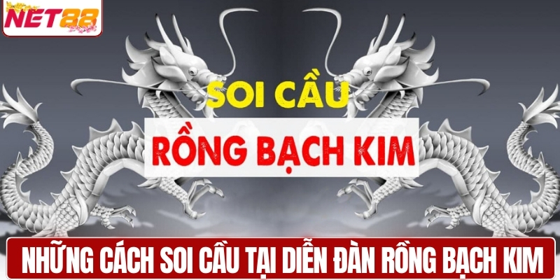 Những cách soi cầu tại diễn đàn Rồng Bạch Kim