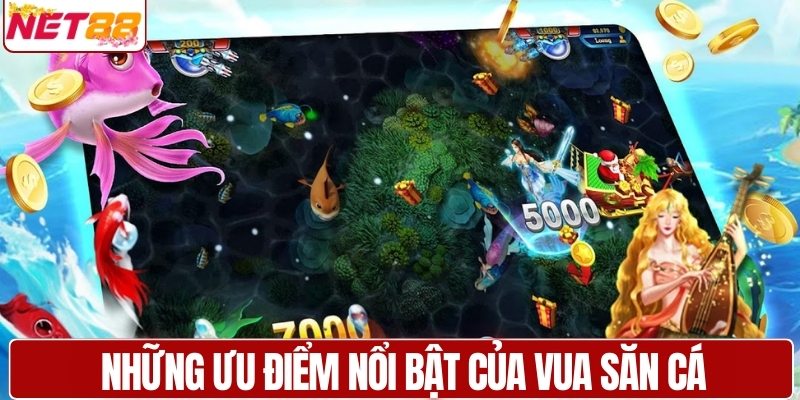 Những ưu điểm nổi bật của vua săn cá