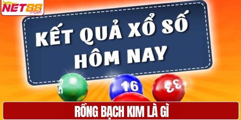 Rồng Bạch Kim là gì
