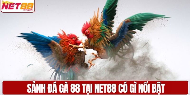 Sảnh đá gà 88 tại NET88 có gì nổi bật