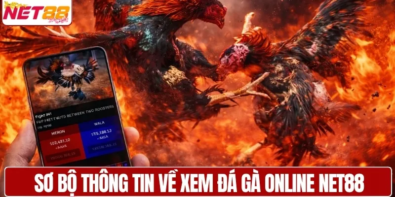 Sơ bộ về trải nghiệm xem đá gà online tại NET88