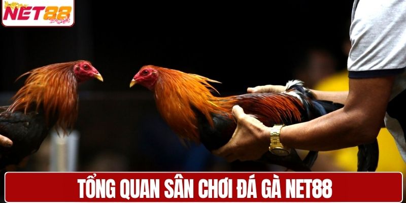 Tổng quan sân chơi đá gà NET88