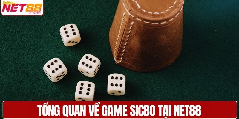 Tổng quan về game Sicbo tại NET88 