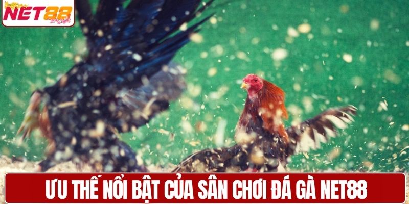 Ưu thế nổi bật của sân chơi đá gà NET88